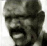 Peter Stillman