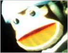 Masque de singe