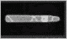 Cigare